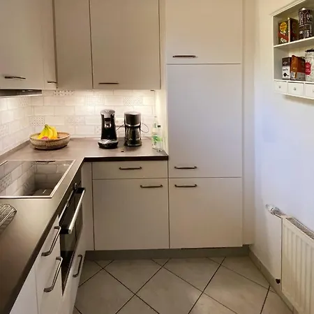Sonniges Reetdachhaus Holiday home Puddemin