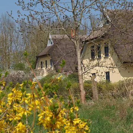 Sonniges Reetdachhaus Tatil Evi *