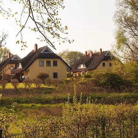 Holiday home Sonniges Reetdachhaus *