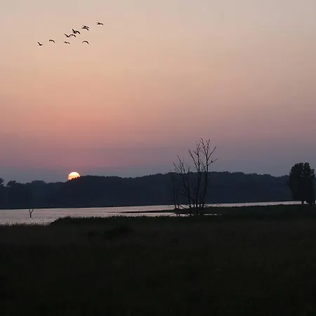 بيت للعطل Sonniges Reetdachhaus Puddemin